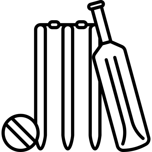 cricket pitch